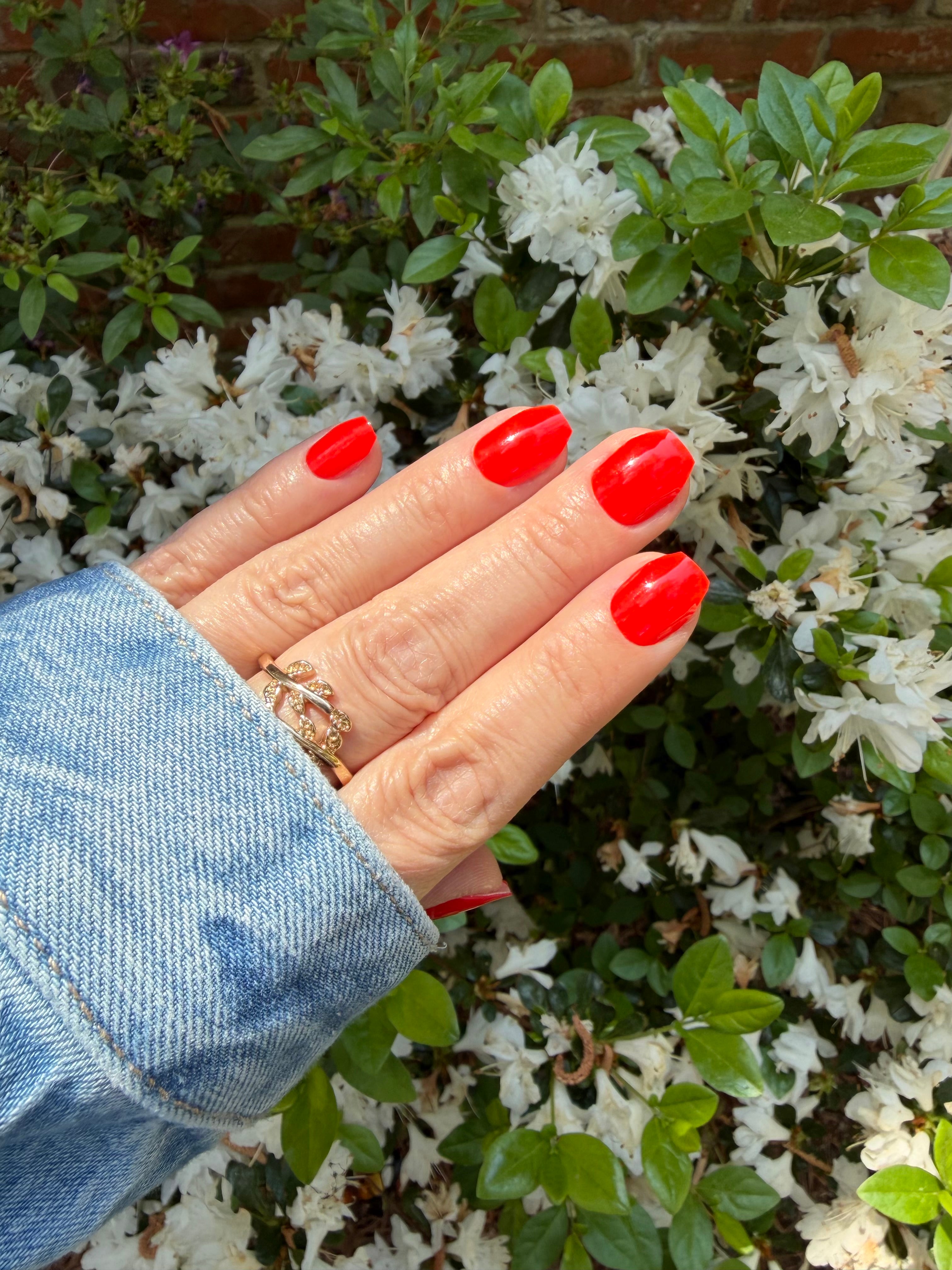 Firecracker Red