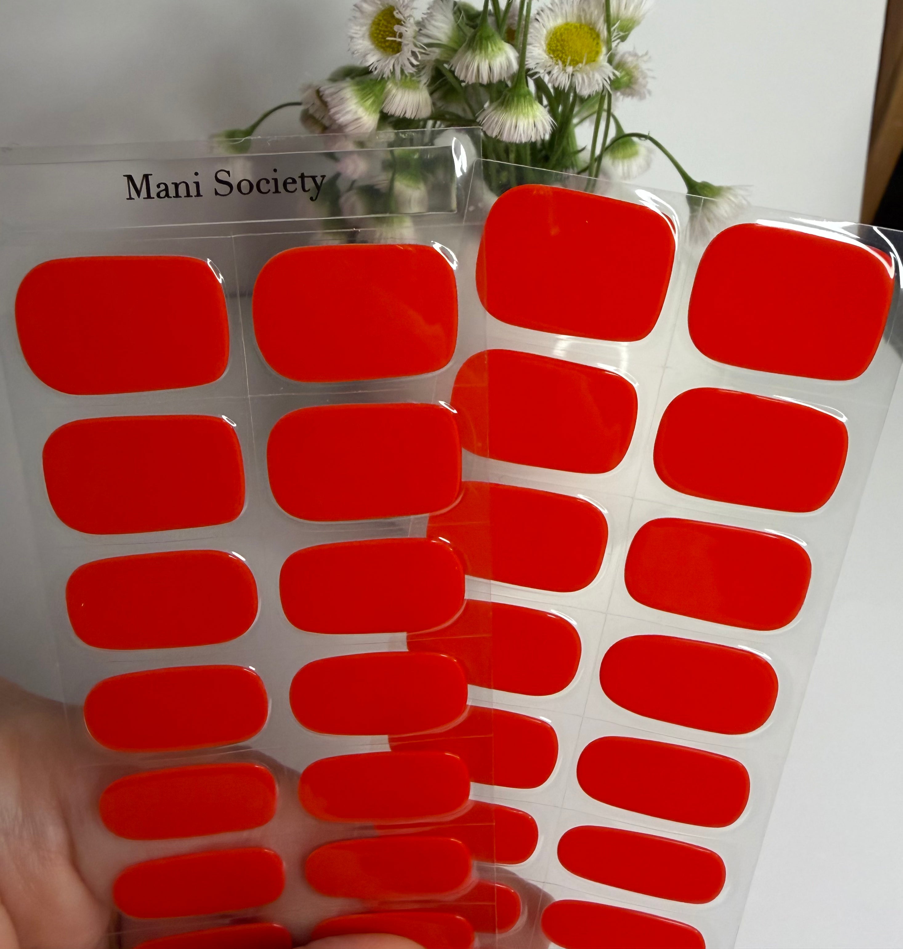 Firecracker Red