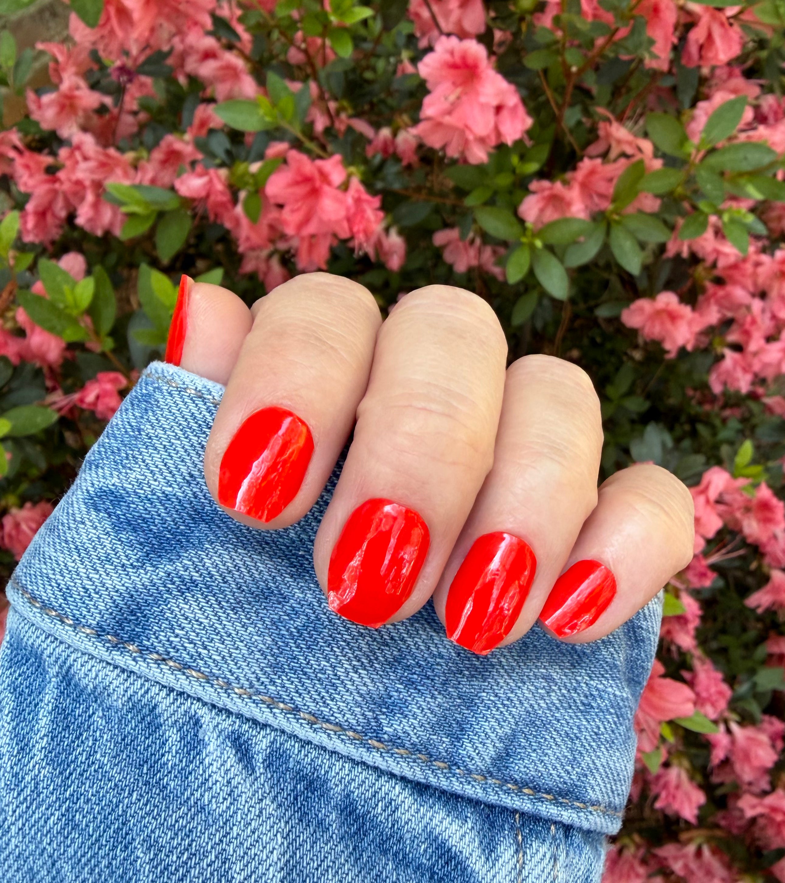 Firecracker Red