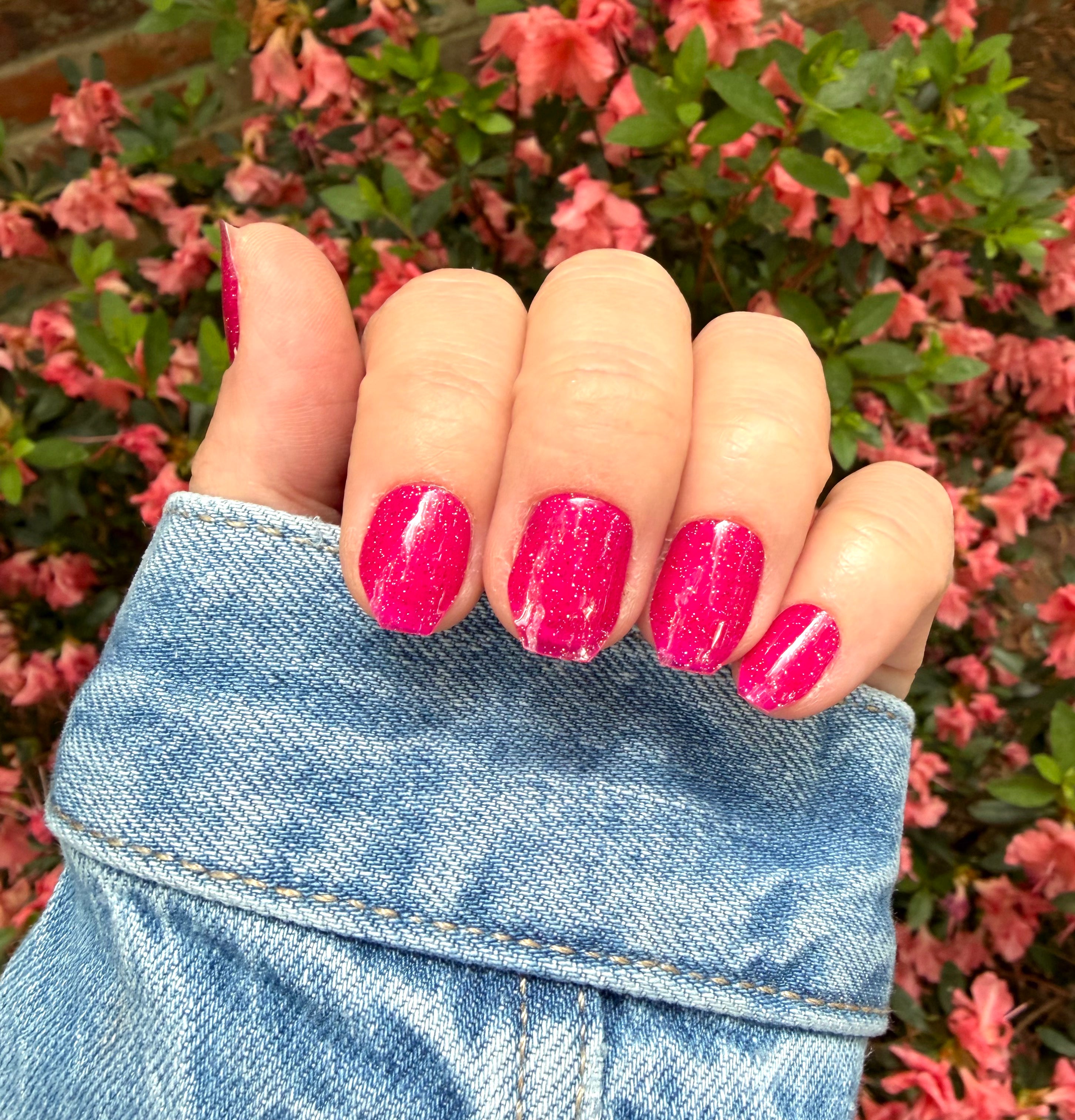 Fuchsia Fizz