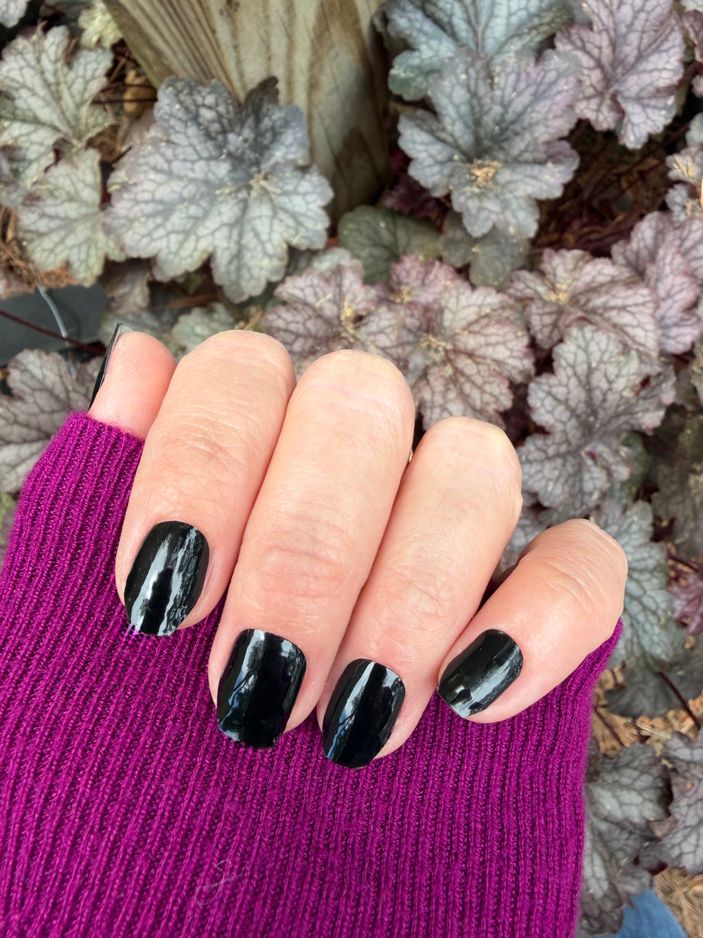 Noir