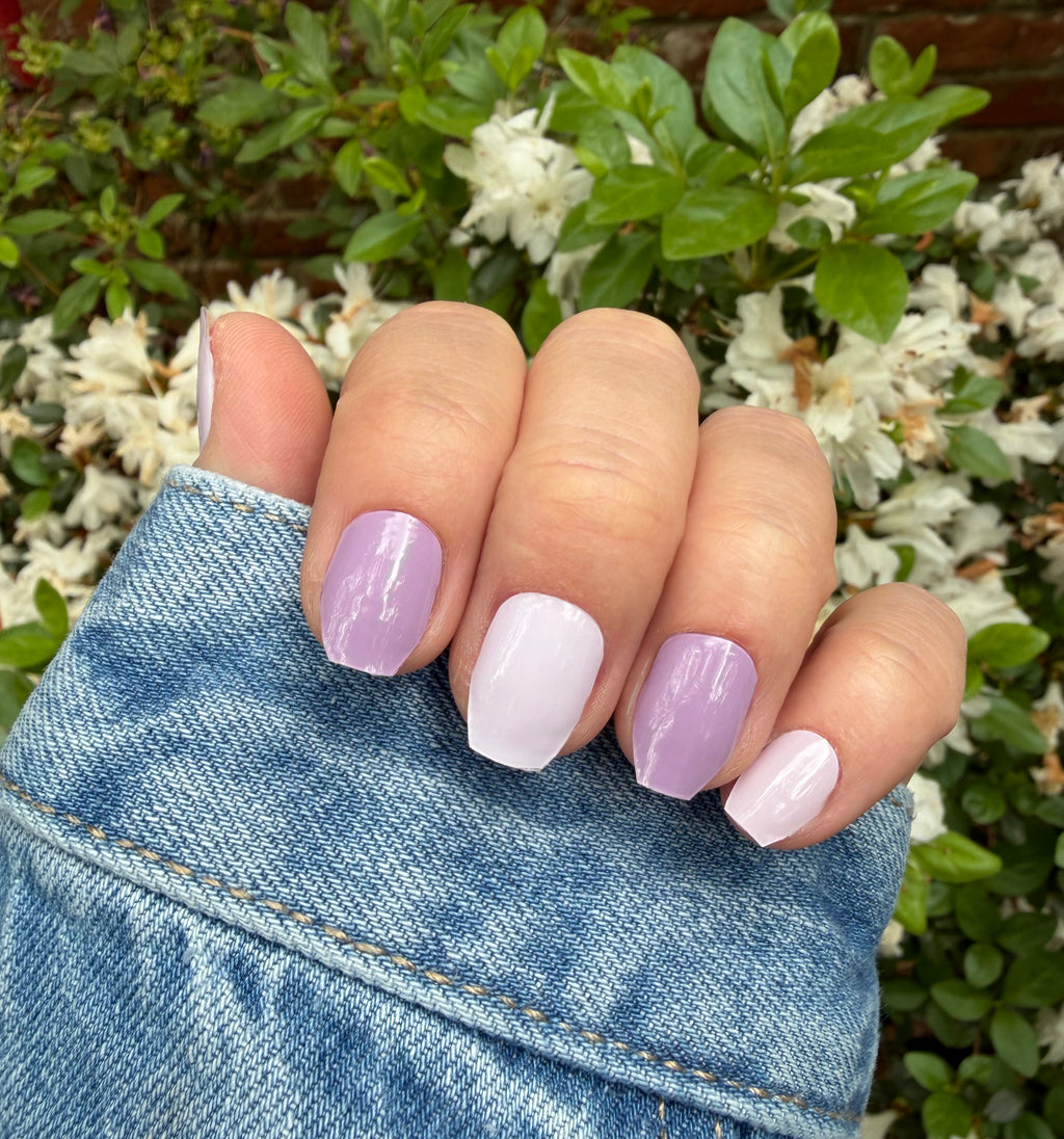 Plum Hazy
