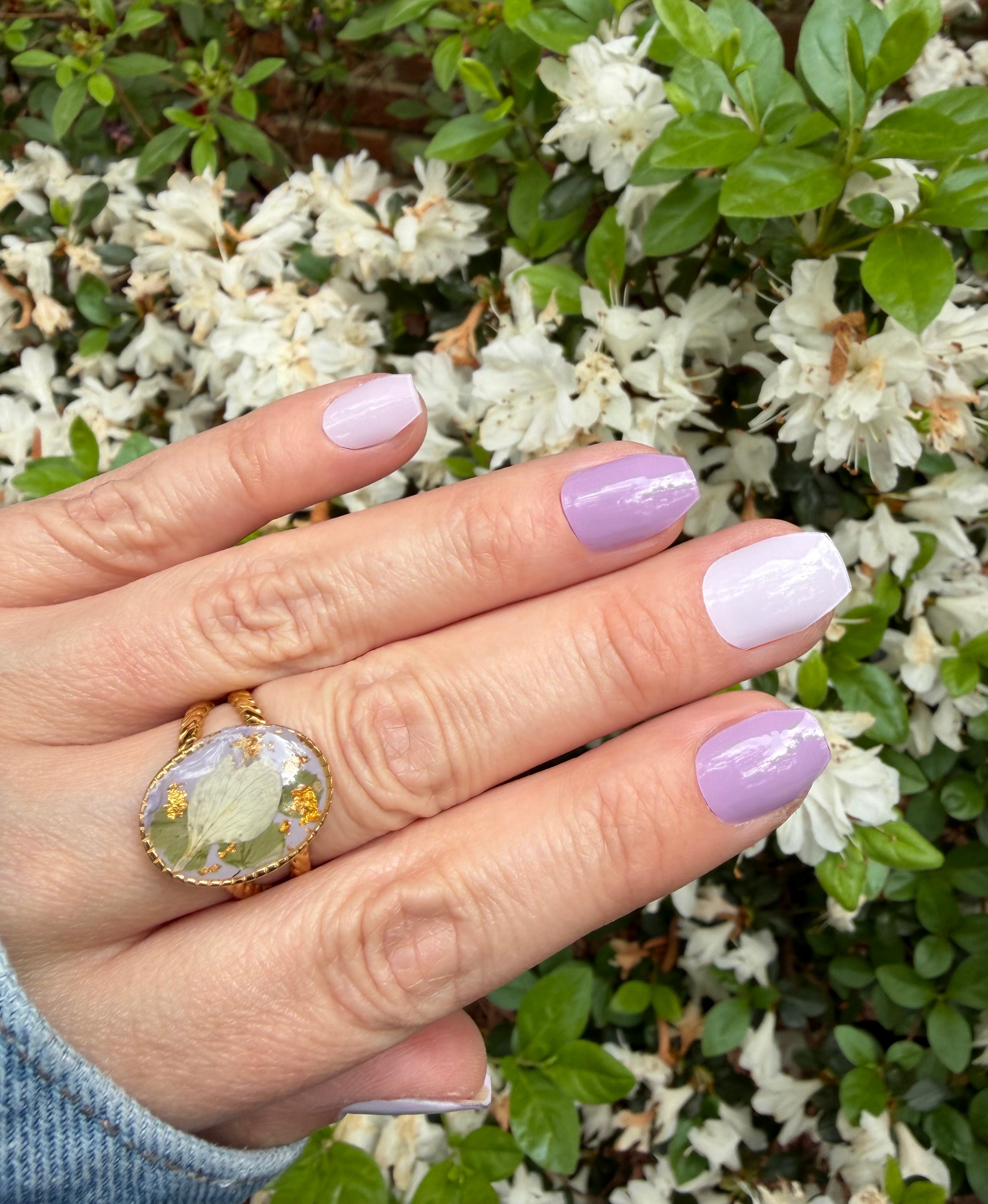 Plum Hazy