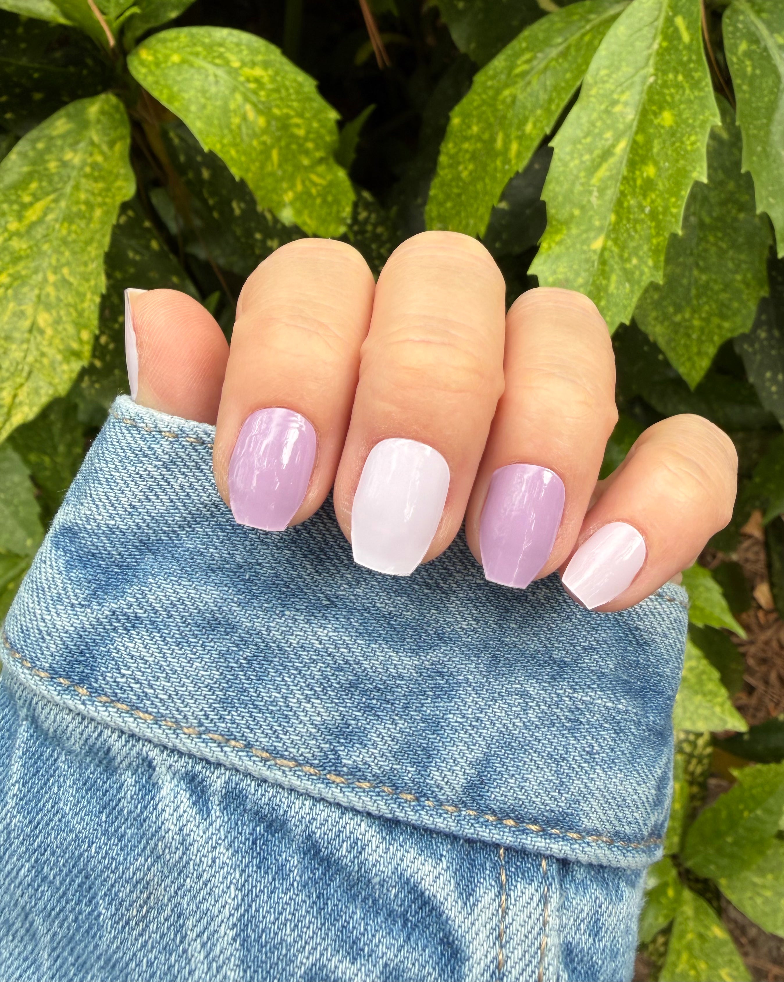 Plum Hazy