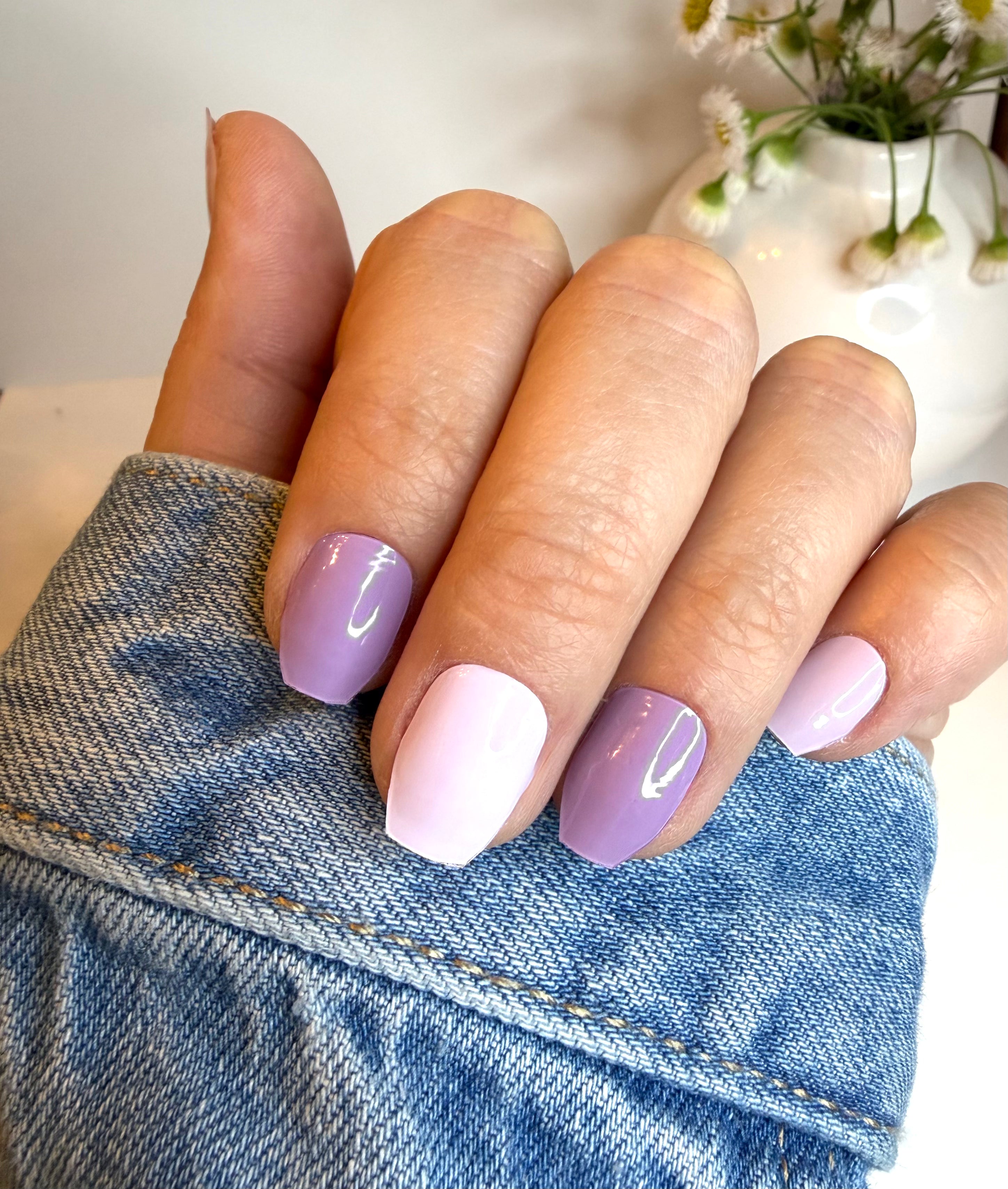 Plum Hazy