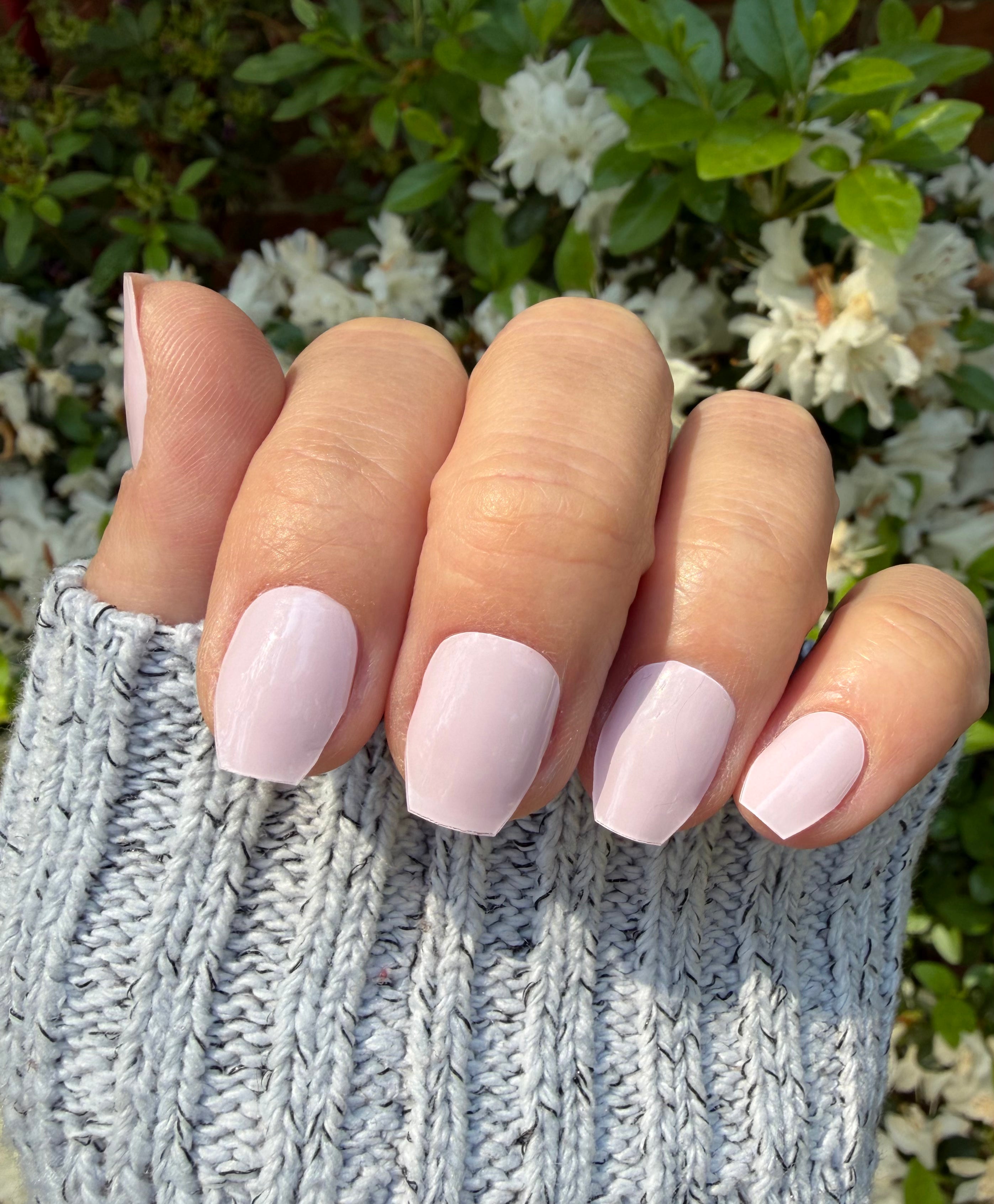 Signature Pink