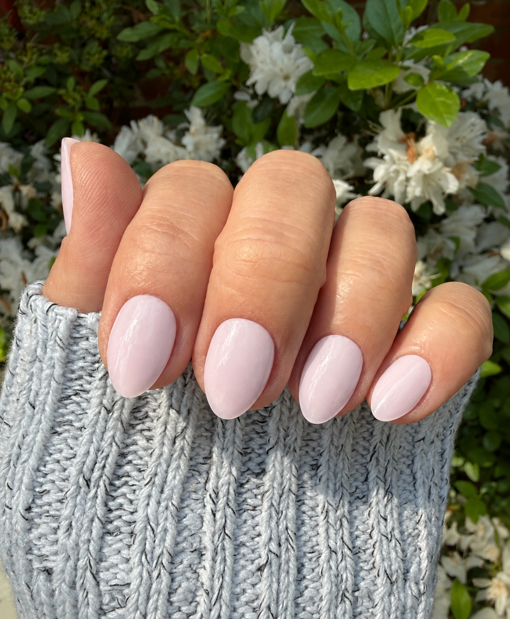 Signature Pink
