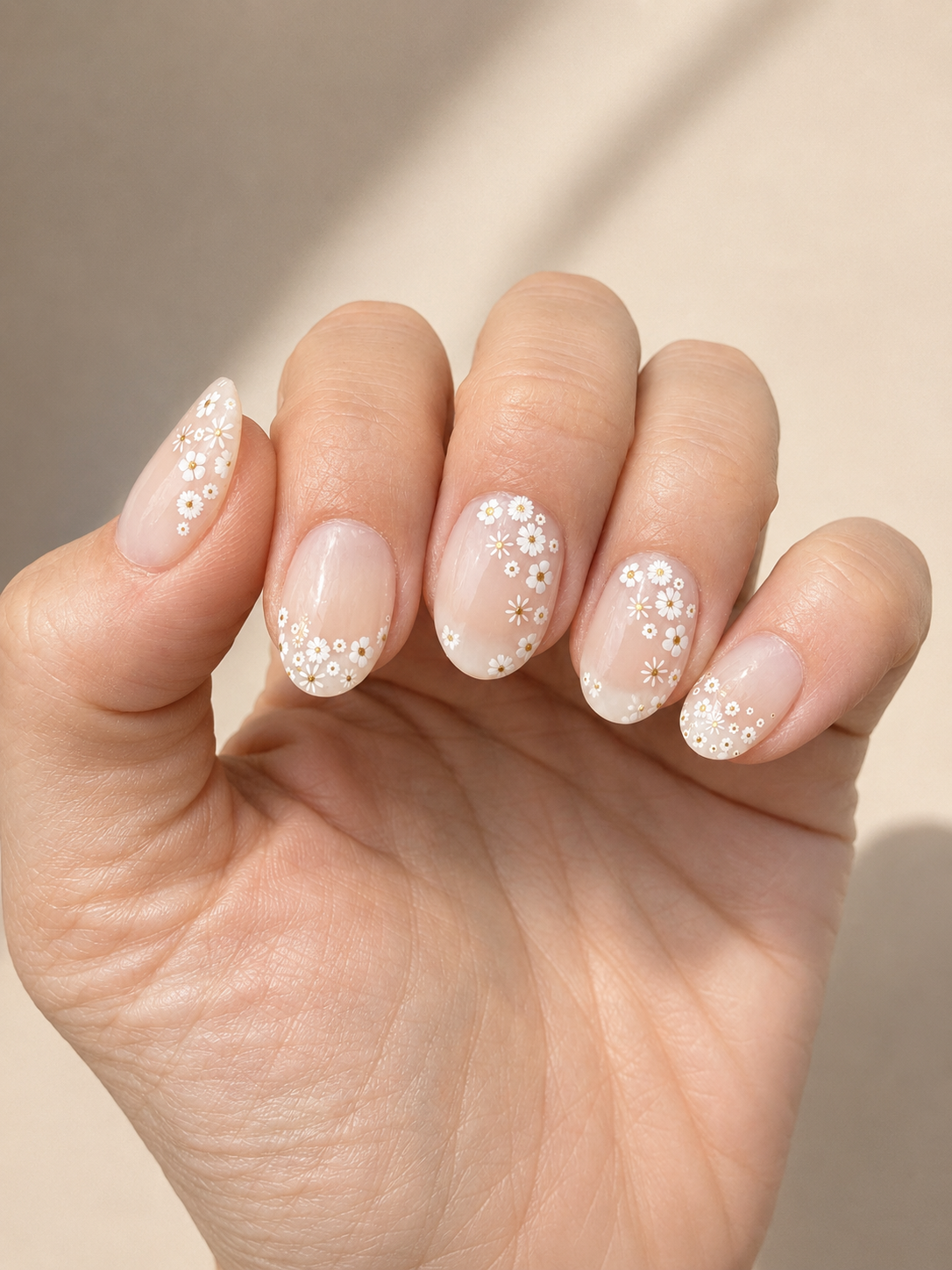 Soft Petals