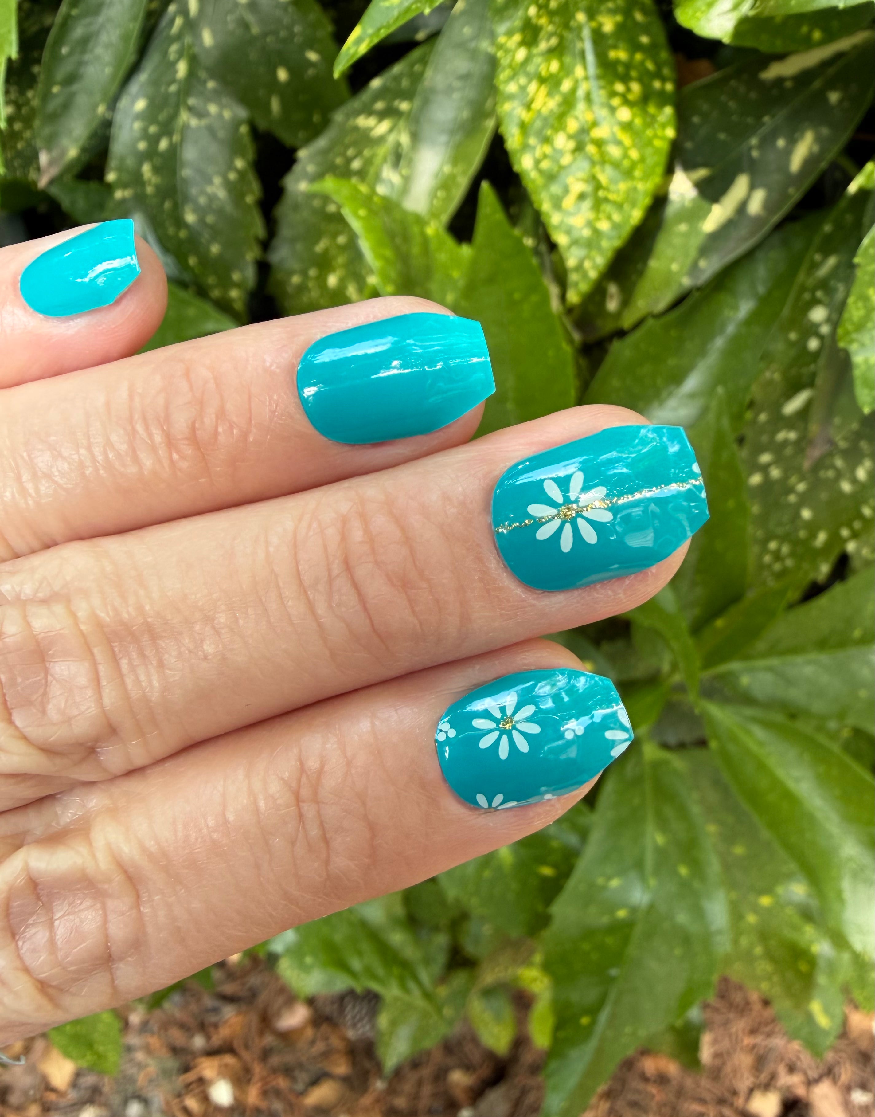 Teal The Sunshine