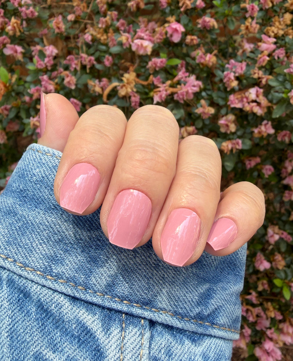Vintage Rose