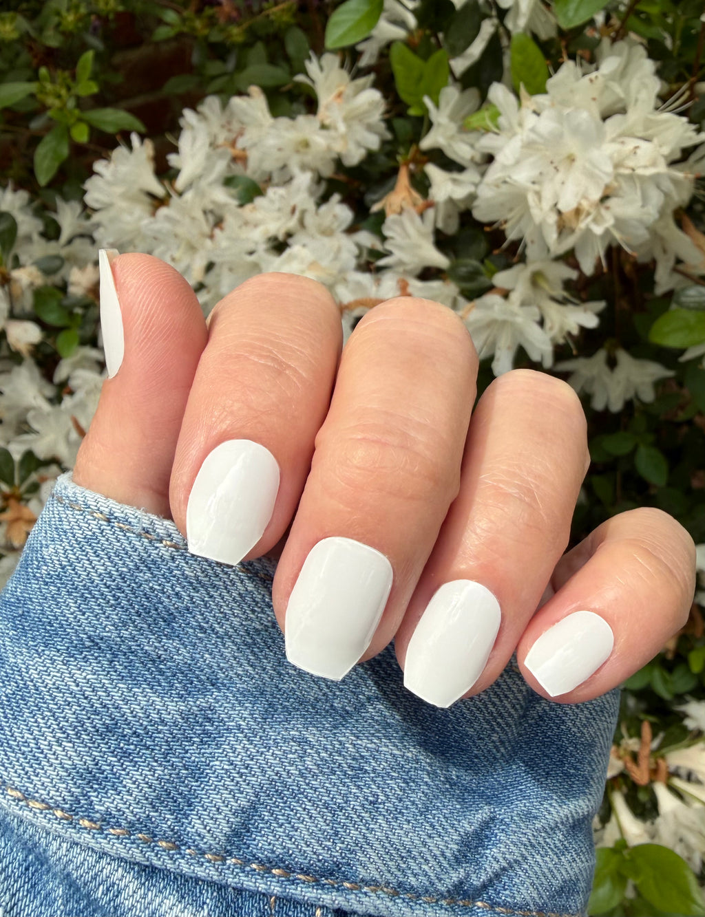 White Swan