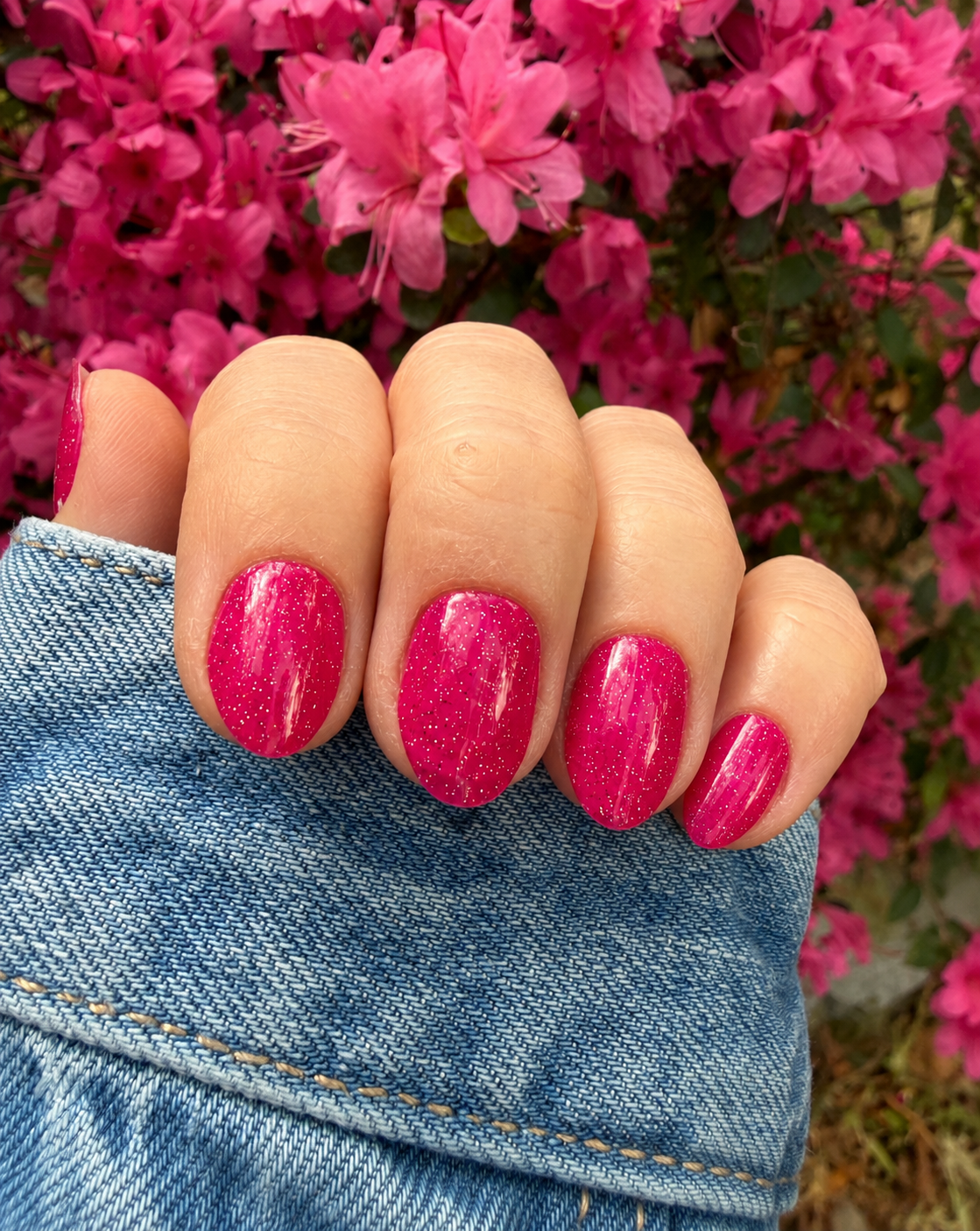 Fuchsia Fizz