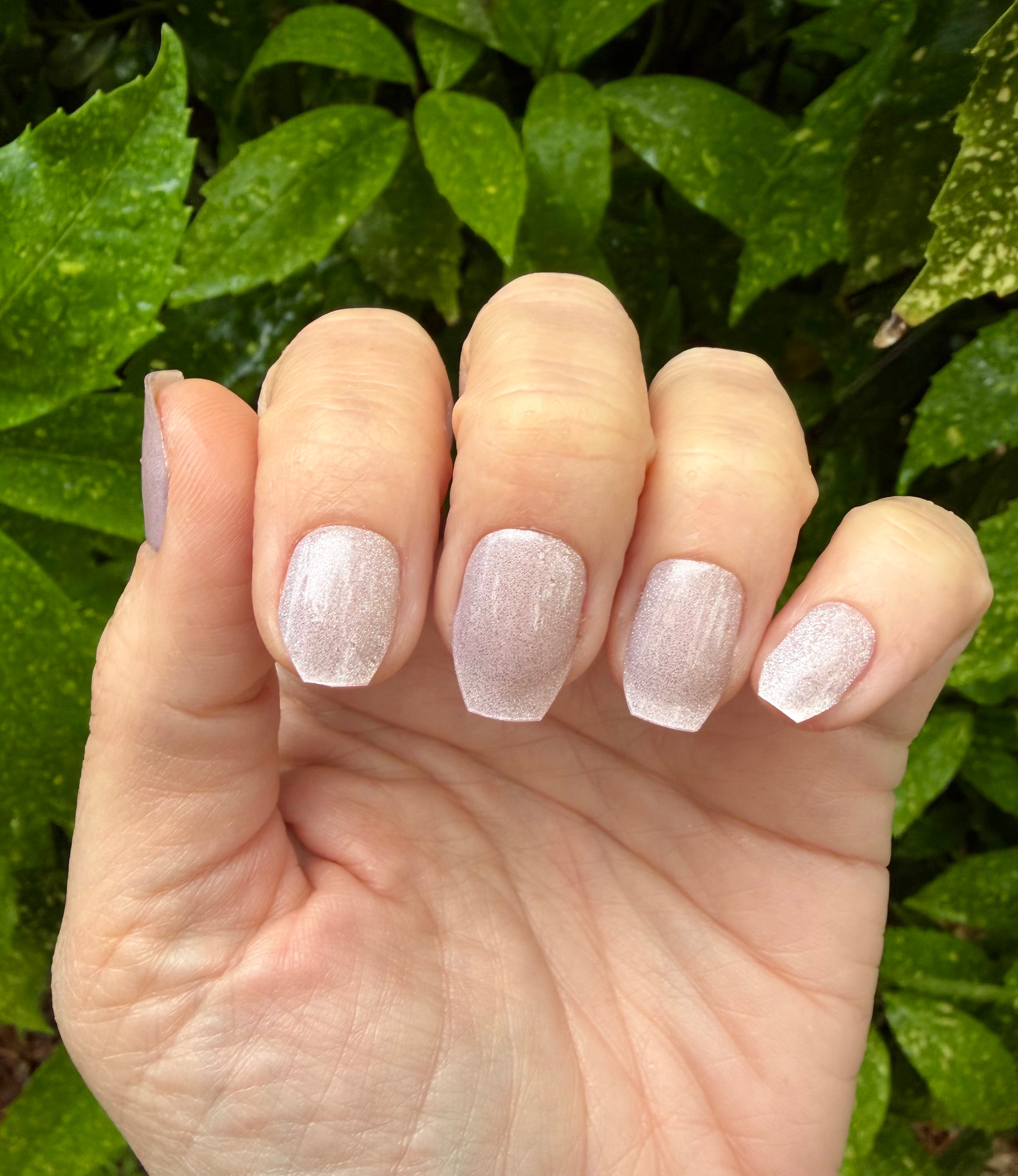Moonlit Beige