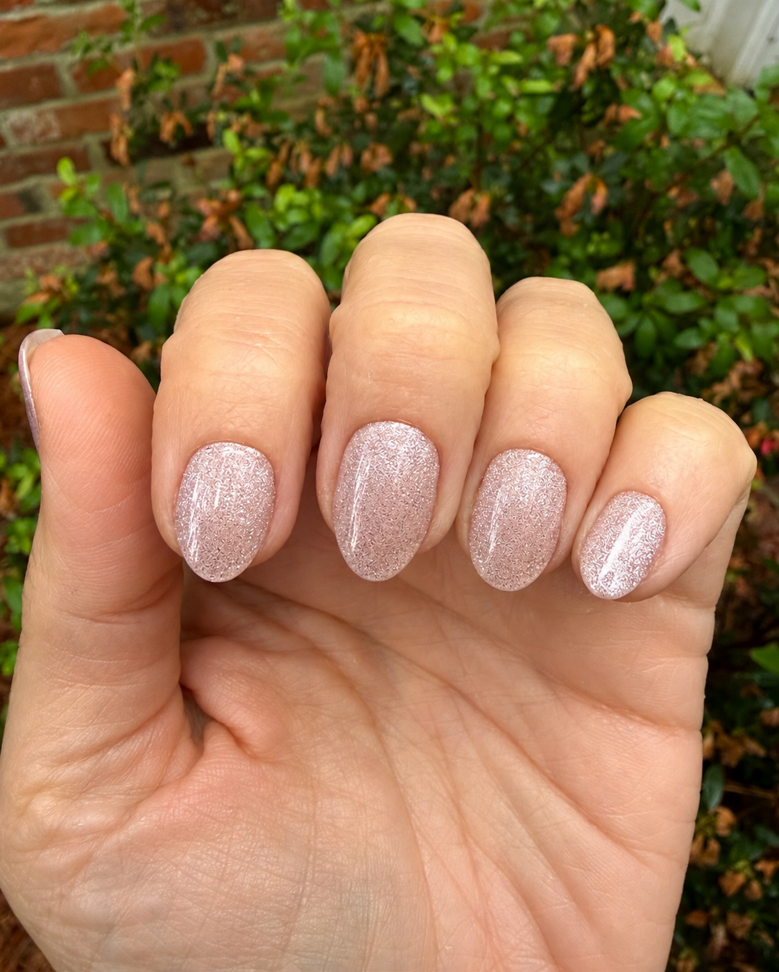 Moonlit Beige