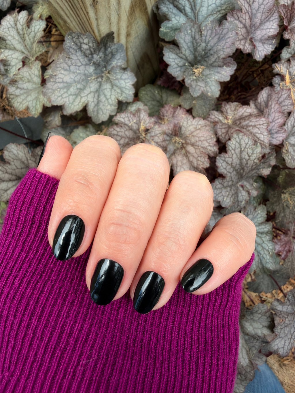 Noir