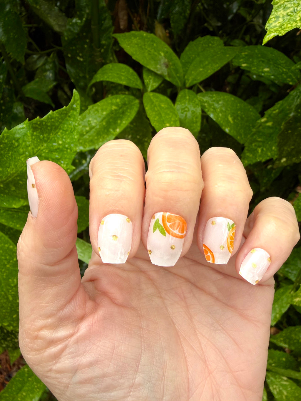 Orange Spritz