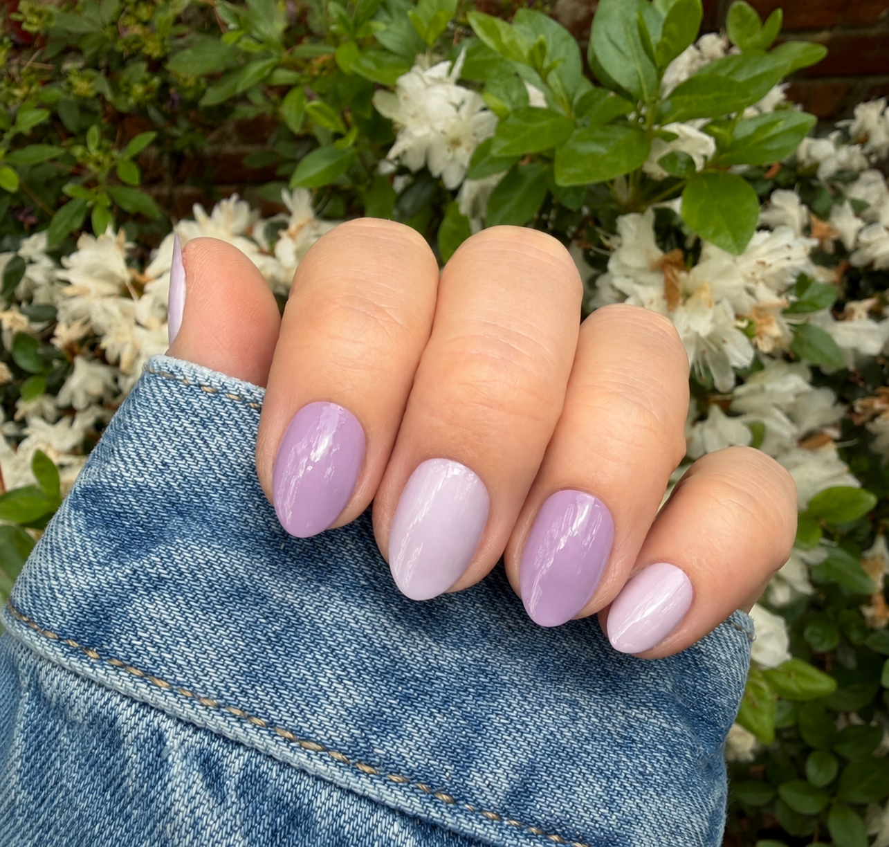 Plum Hazy