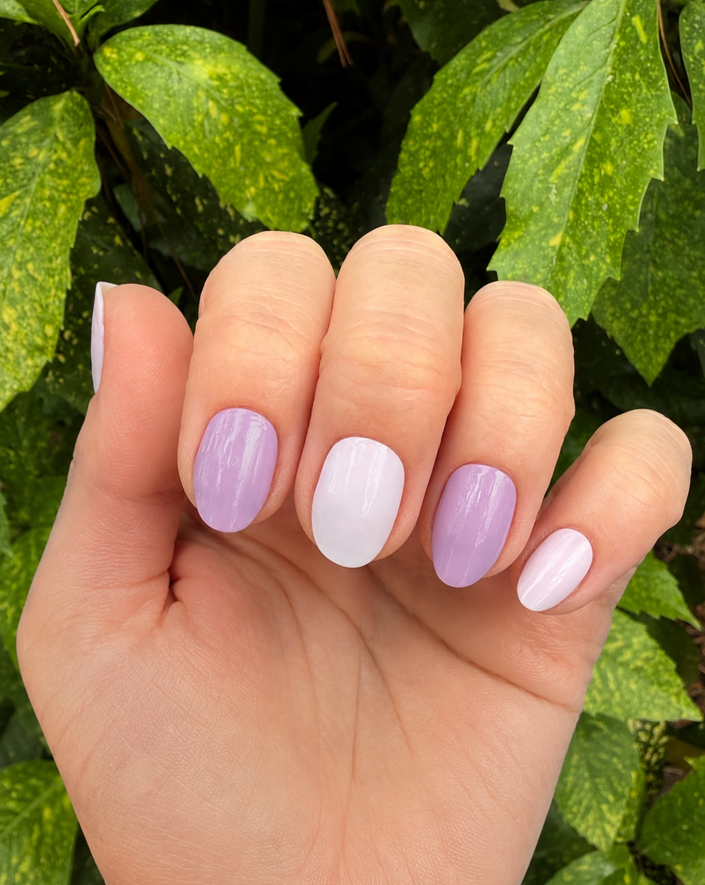 Plum Hazy