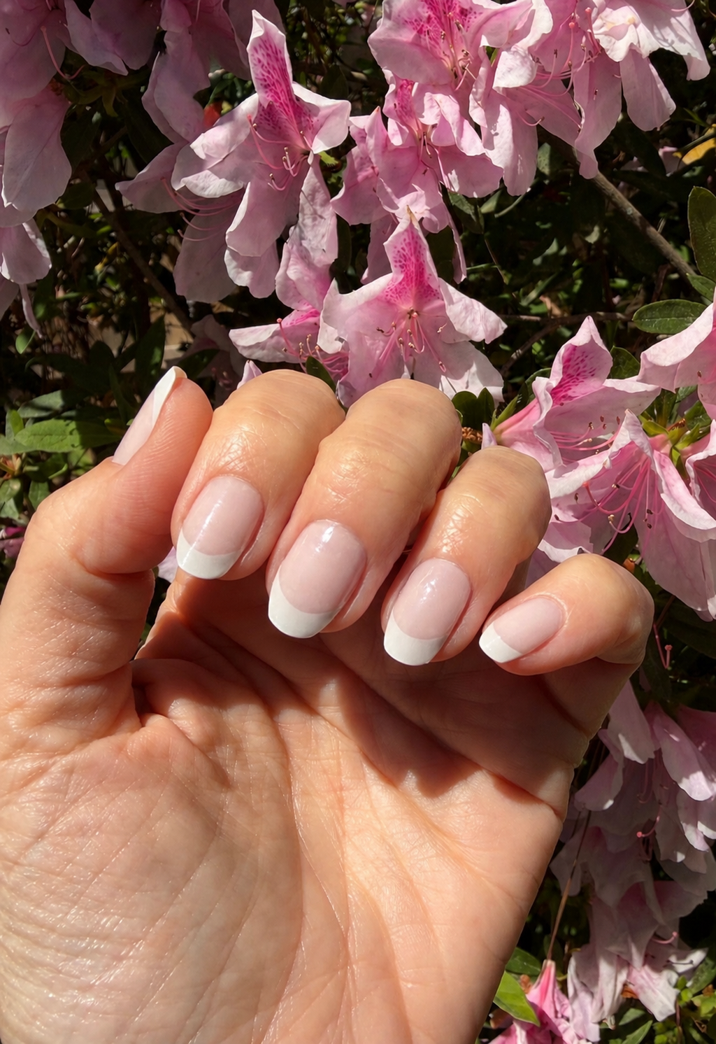 Signature French