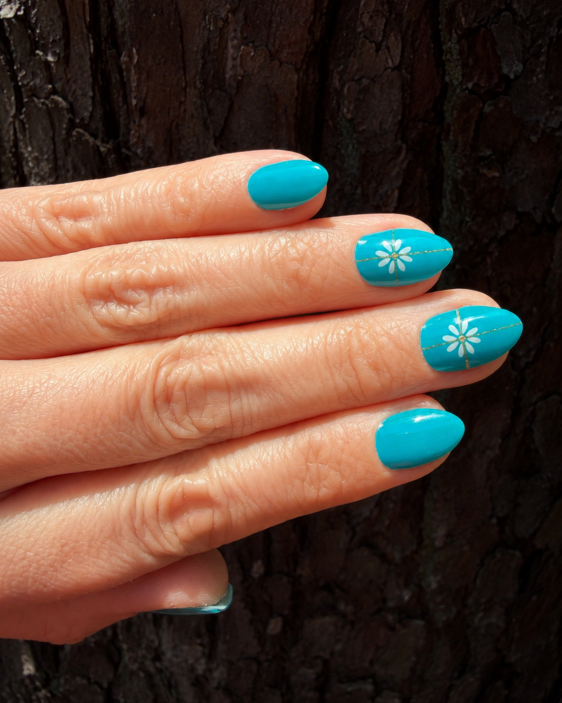 Teal The Sunshine