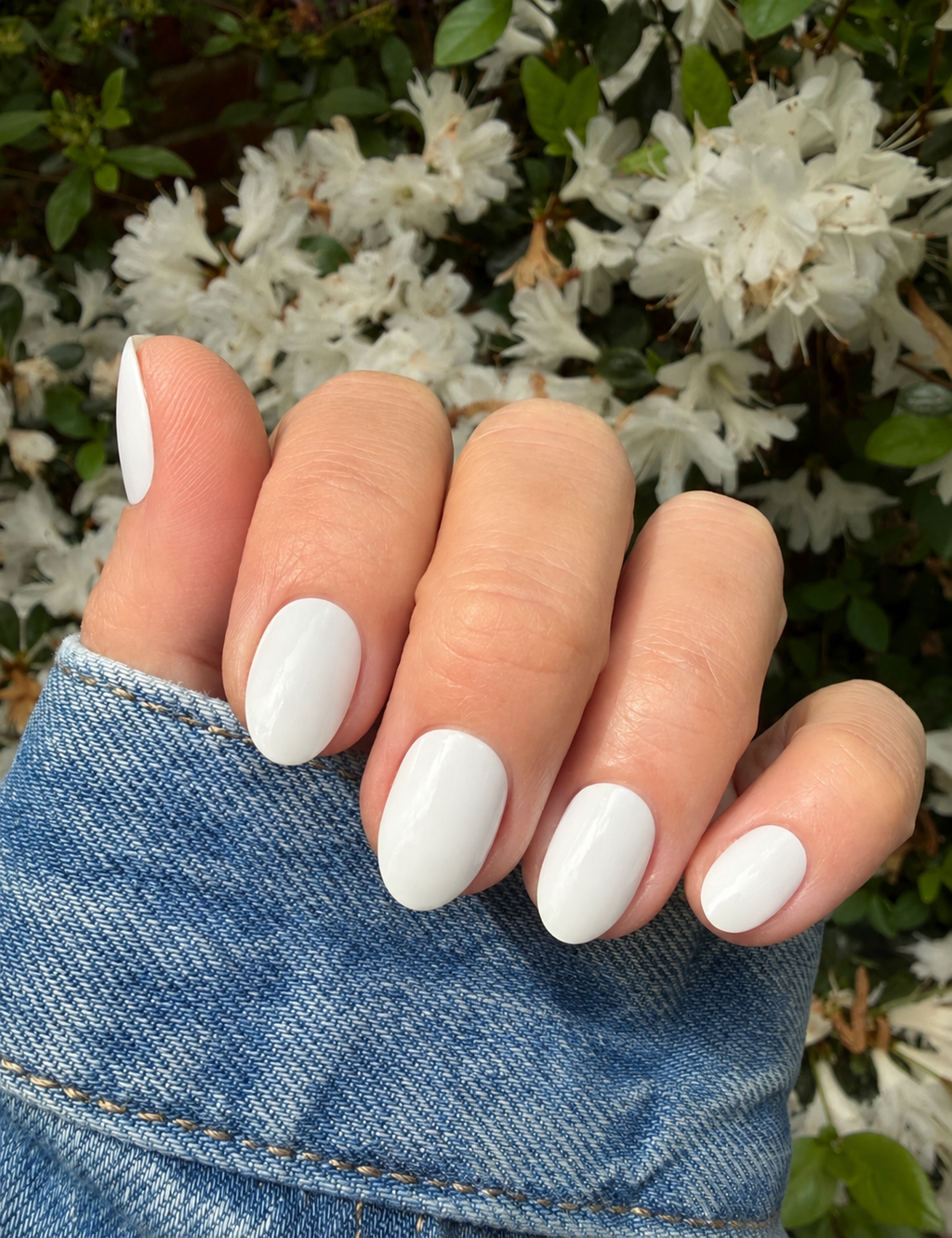 White Swan